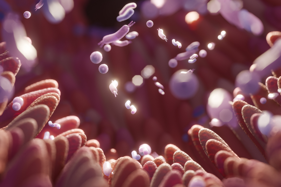 Do Probiotics Really Survive Digestion? What Our Clinical Evidence Shows