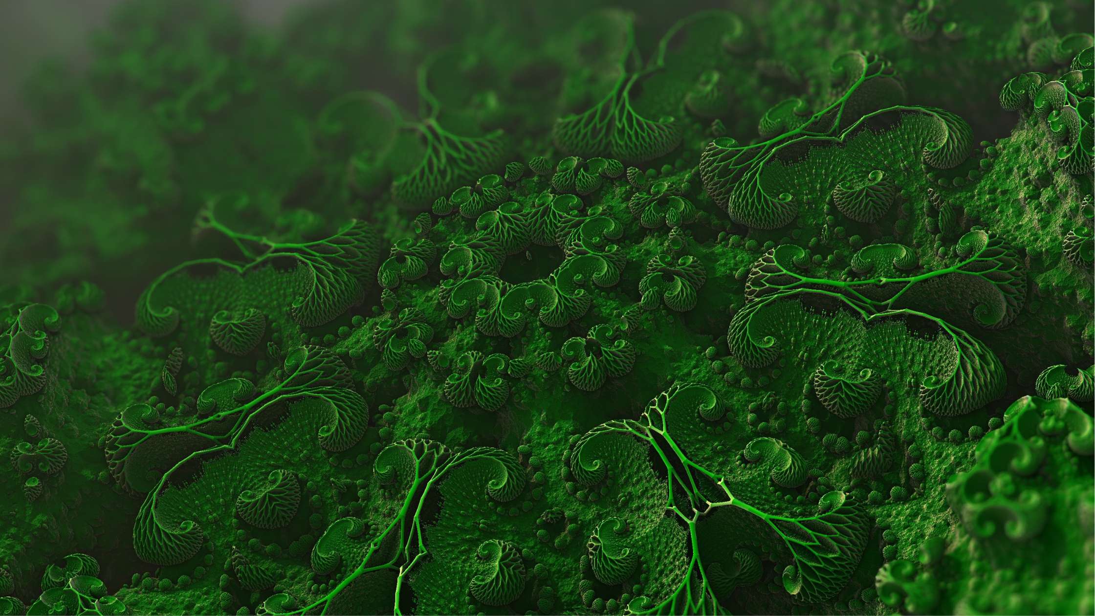 Plant Microbes: The Unsung Heroes of Bone Health