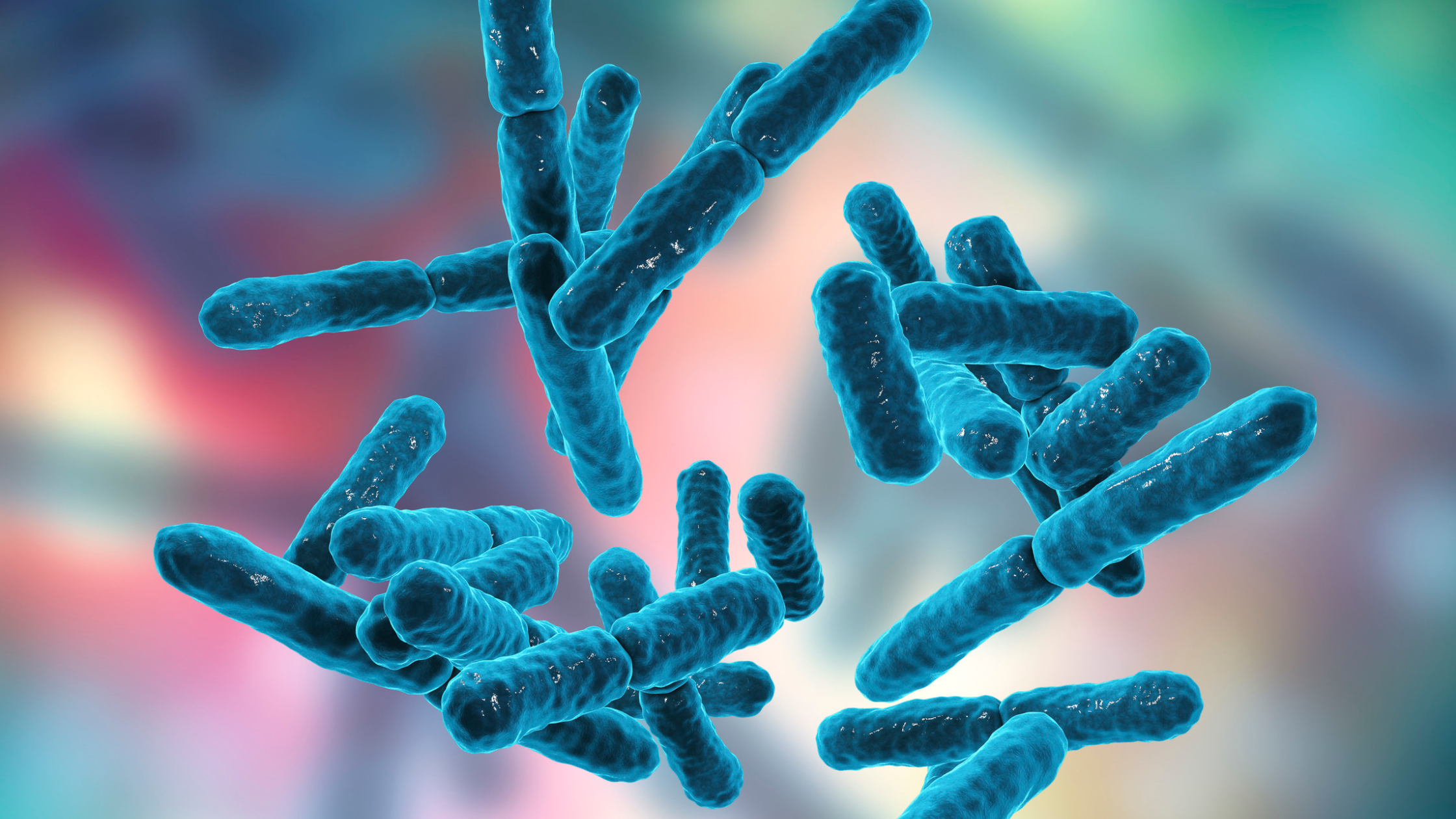 What Are Synbiotics and Why Do They Matter for Bone Health?